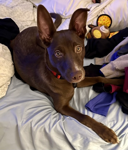 Entry image for Oakley . Clicking this image will show a larger photo