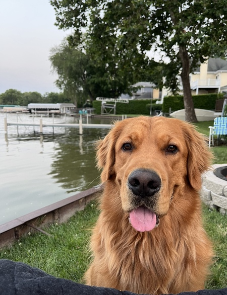 Entry image for Cooper. Clicking this image will show a larger photo