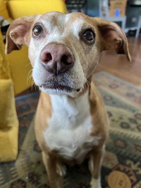 Entry image for Quorra. Clicking this image will show a larger photo