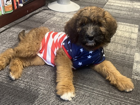 Entry image for Kona. Clicking this image will show a larger photo