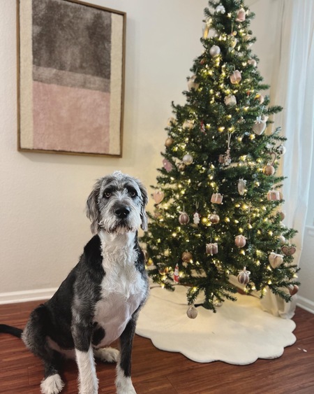 Entry image for Lomo. Clicking this image will show a larger photo