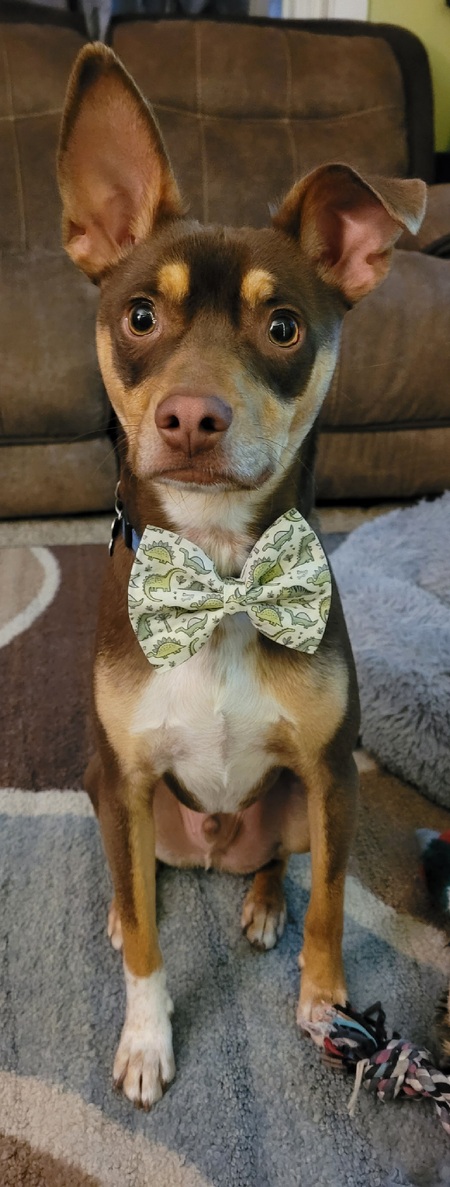 Entry image for Titan. Clicking this image will show a larger photo