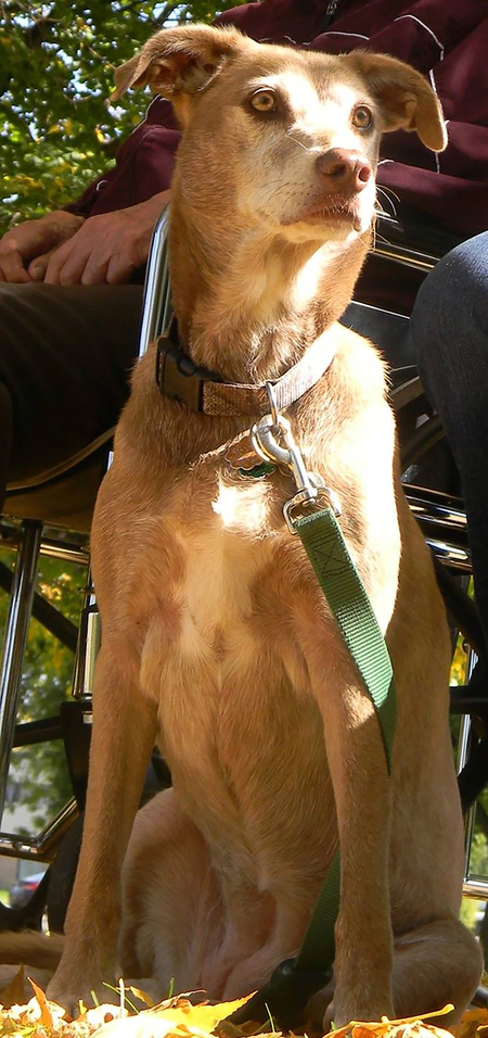 Entry image for Pita. Clicking this image will show a larger photo