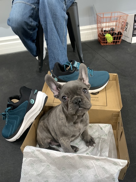 Entry image for Mia. Clicking this image will show a larger photo