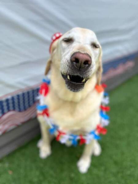 Entry image for Walter. Clicking this image will show a larger photo