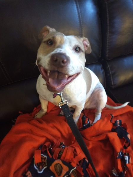 Entry image for Linda . Clicking this image will show a larger photo