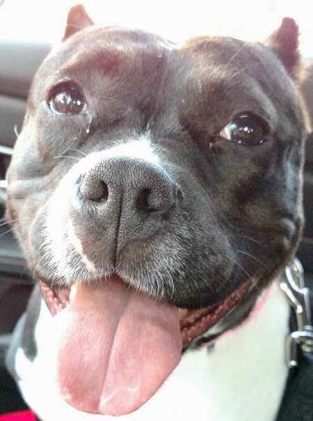 Entry image for Winifred . Clicking this image will show a larger photo