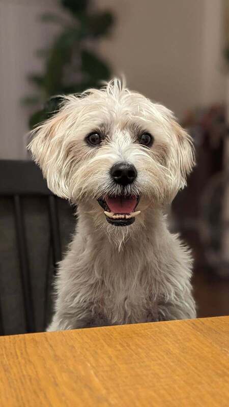 Gus
