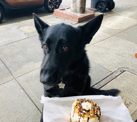 Entry image for Xena. Clicking this image will show a larger photo