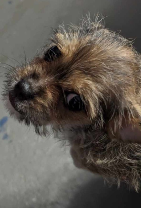 Entry image for Clark Griswald. Clicking this image will show a larger photo