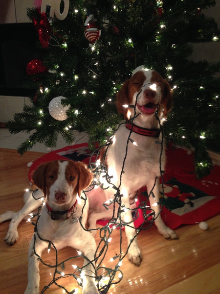Abby & Zoe