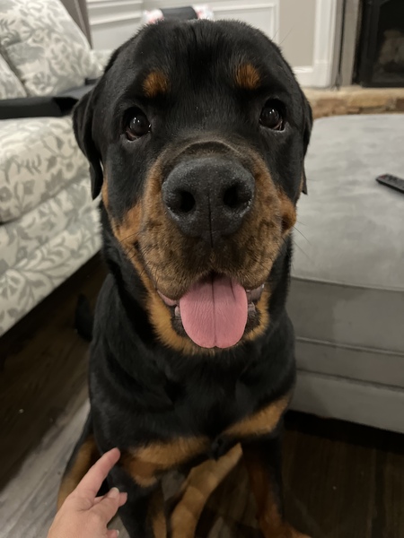 Cooper