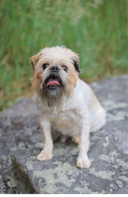 Fenwick