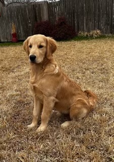 Milo