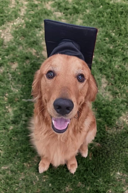 Cooper 