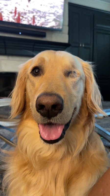 Waylon