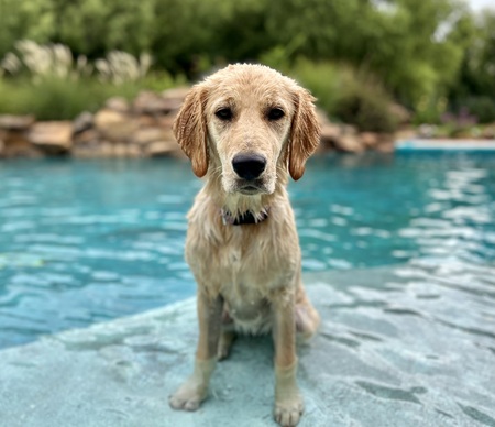 Cali, aka Calzone, Calita 