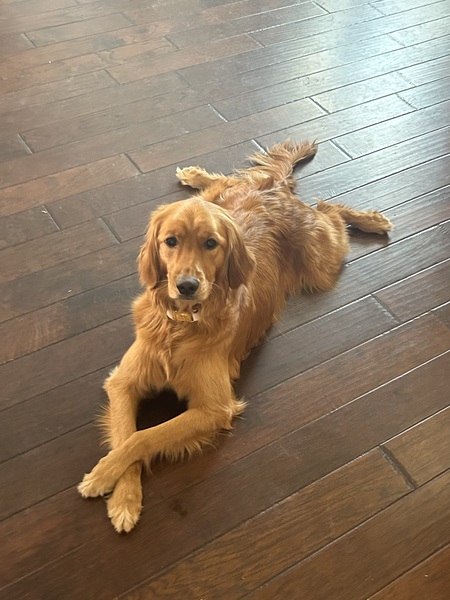 Daisy