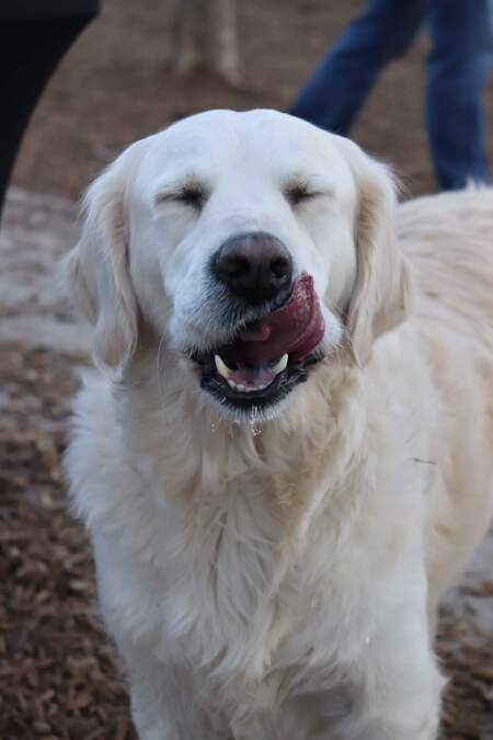 Sadie