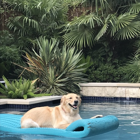 Maggie 