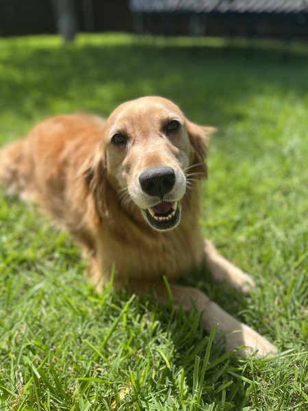 Annie Mae