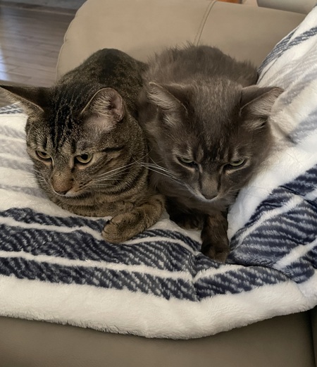 Toby and Howie