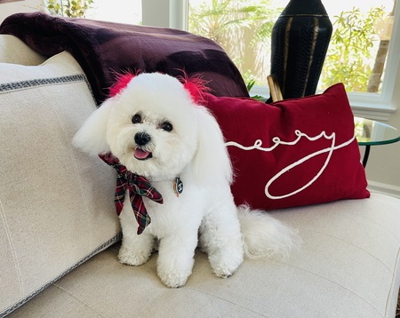 Coco Chanel