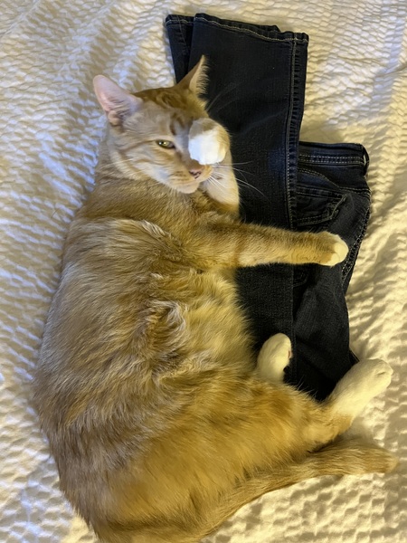 Ben