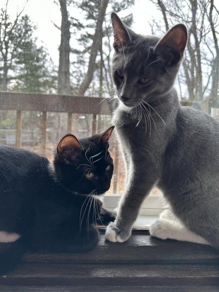 Birdie and Dez