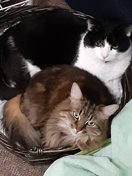 George and Matilda 