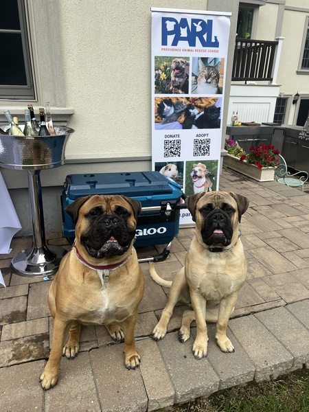 Stormy June & Scout May