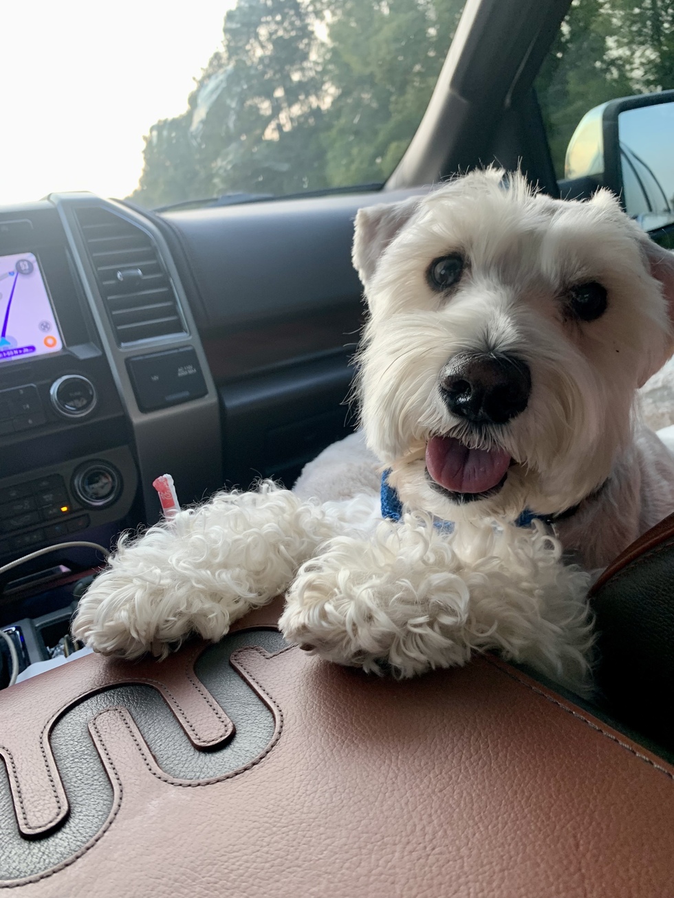 Vote for Bentley 2024 MSRH Calendar Photo Contest