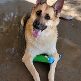 Entry image for Zeus