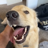 Entry image for Winston
