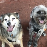 Entry image for Bella & Sawyer 