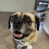 Entry image for Jake
