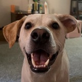 Entry image for Theo