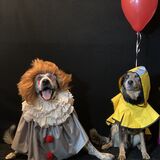 Entry image for Jack and Drake