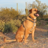 Entry image for Marula