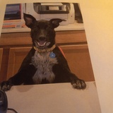 Entry image for Hollie 