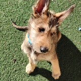 Entry image for Tucker