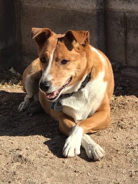 Entry image for Zeus . Clicking this image will show a larger photo