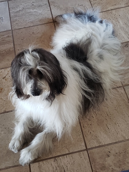 Entry image for isabella. Clicking this image will show a larger photo
