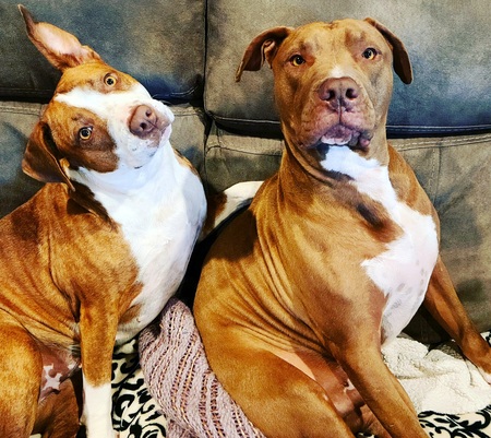 Entry image for Mamas & Tank. Clicking this image will show a larger photo
