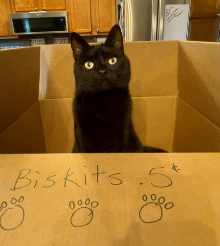 Entry image for Axl Sprinklebelly. Clicking this image will show a larger photo