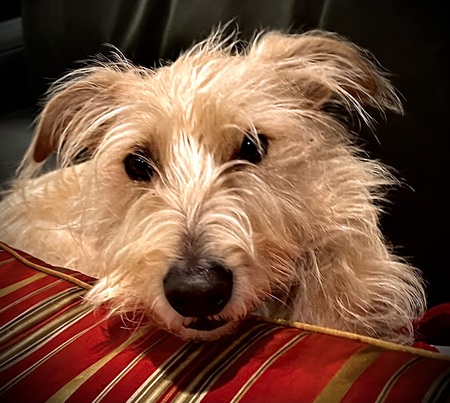 Entry image for Walter. Clicking this image will show a larger photo