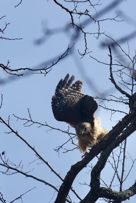 Look Out Below!