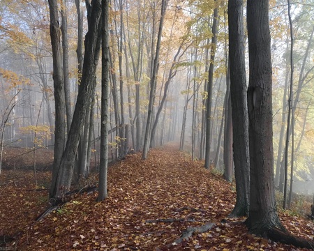 Reservoir Foot Path