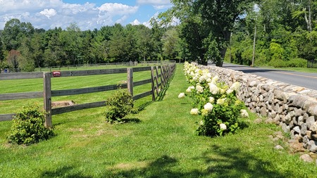 Brookfield Country Roadside