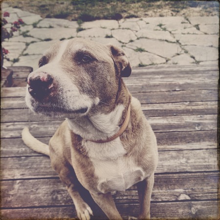 Oliver